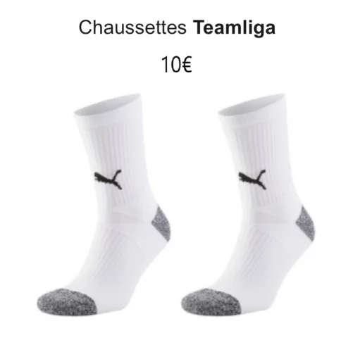 Chaussettes Basketball Brivadois.